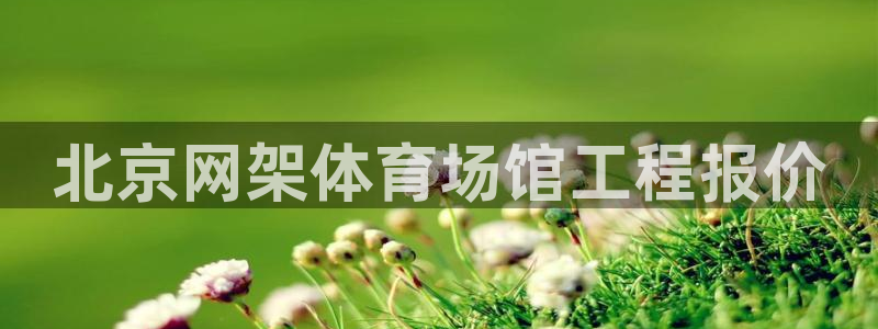 意昂3集团E.ON：北京网架体育场馆工程报价