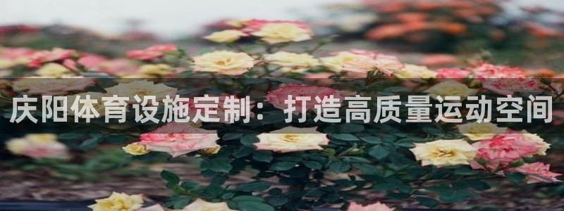 意昂体育3平台APP：庆阳体育设施定制：打造高质量运