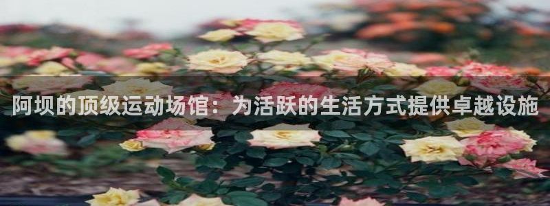 意昂体育3平台是正规平台吗安全吗：阿坝的顶级运动场馆