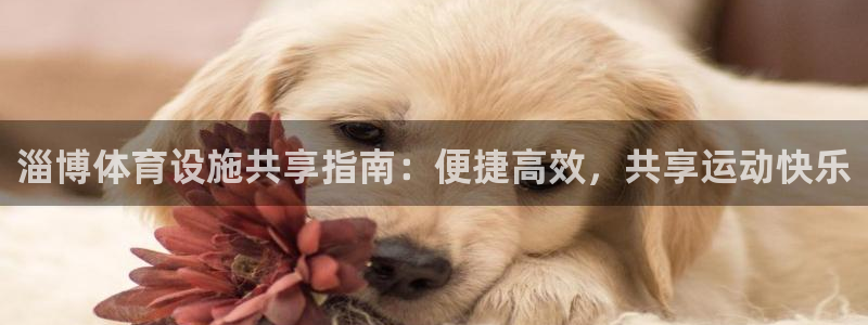 意昂体育3软件：淄博体育设施共享指南：便捷高效，共享