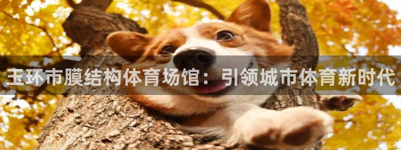 意昂体育3招商电话地址：玉环市膜结构体育场馆：引领城