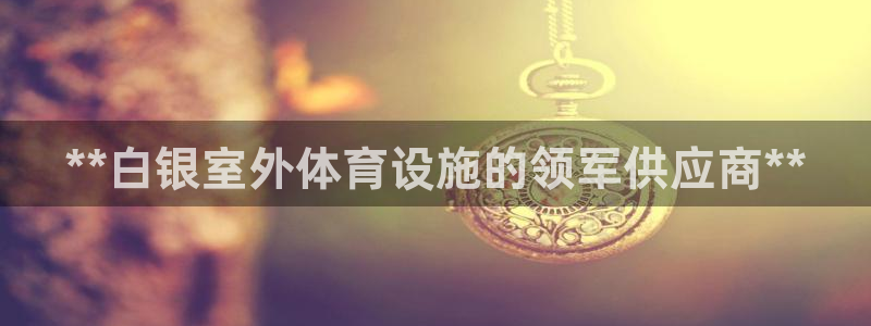 意昂3娱乐：**白银室外体育设施的领军供应商**