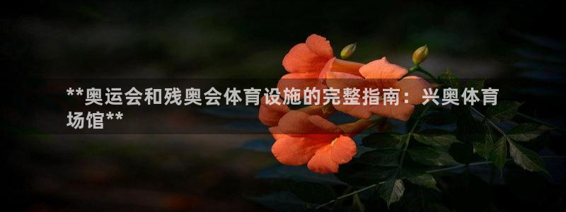 意昂3娱乐：**奥运会和残奥会体育设施的完整指南：兴