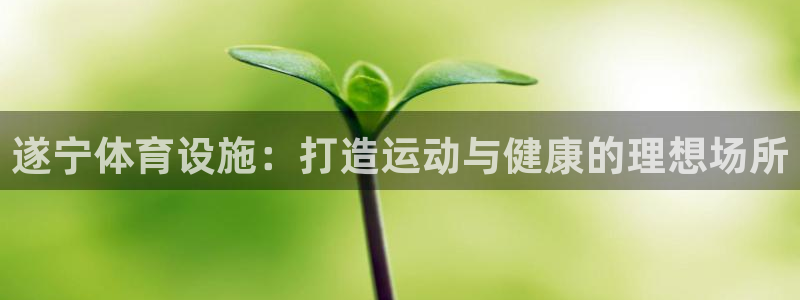 意昂体育3注册：遂宁体育设施：打造运动与健康的理想场