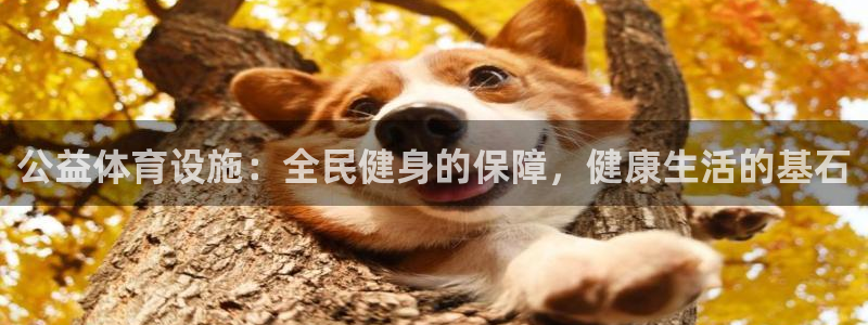 海南意昂体育3发展怎么样：公益体育设施：全民健身的保