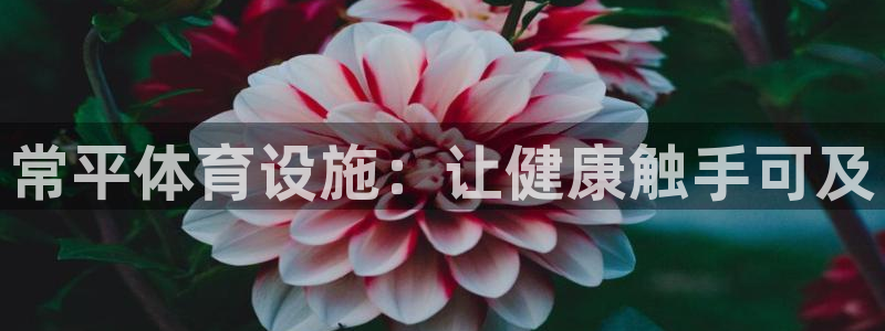 意昂3娱乐下载：常平体育设施：让健康触手可及