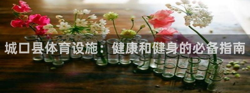 意昂体育3平台注册流程视频：城口县体育设施：健康和健