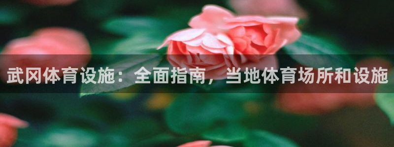 意昂体育3开户：武冈体育设施：全面指南，当地体育场所