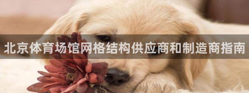 意昂3娱乐网站：北京体育场馆网格结构供应商和制造商指
