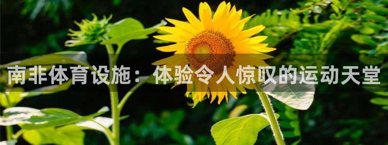 意昂体育3官方客服电话：南非体育设施：体验令人惊叹的