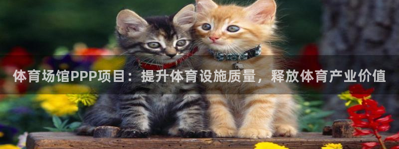 意昂体育3平台注册要钱吗：体育场馆PPP项目：提升体