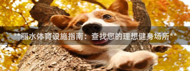 意昂体育3招商：**丽水体育设施指南：查找您的理想健