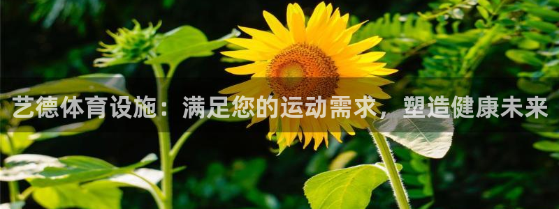 意昂体育3平台注册要钱吗：艺德体育设施：满足您的运动