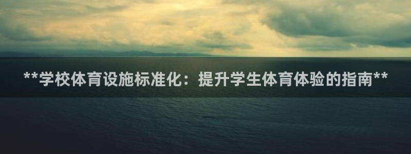 意昂3五金厂：**学校体育设施标准化：提升学生体育体
