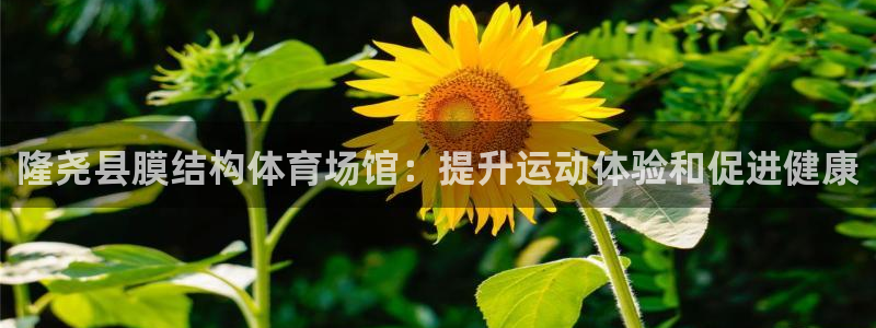 意昂体育3软件：隆尧县膜结构体育场馆：提升运动体验和