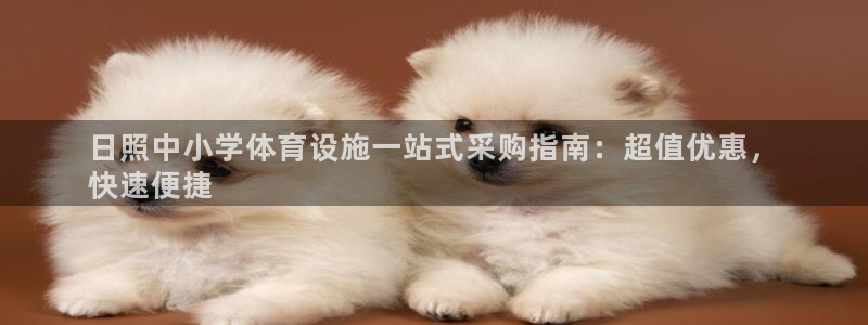 意昂3娱乐：日照中小学体育设施一站式采购指南：超值优