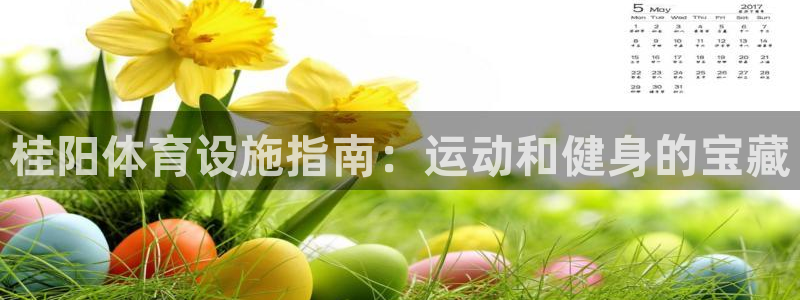 意昂体育3招商电话号码是多少号：桂阳体育设施指南：运