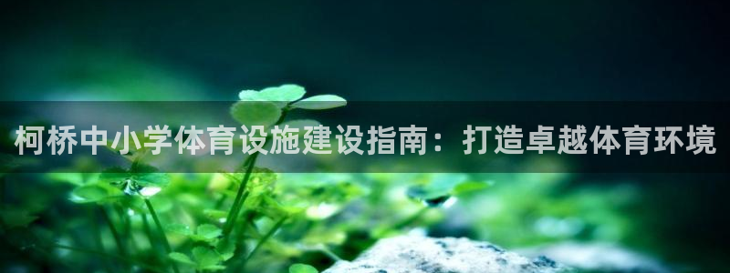 意昂3官网：柯桥中小学体育设施建设指南：打造卓越体育