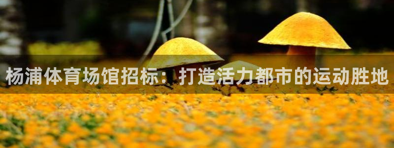 意昂体育3招商电话号码是多少号：杨浦体育场馆招标：打