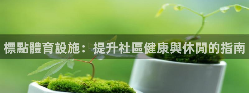 意昂3科技：標點體育設施：提升社區健康與休閒的指南