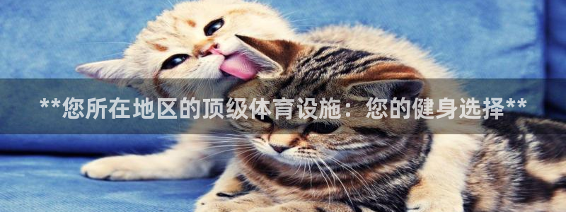 意昂体育3开户：**您所在地区的顶级体育设施：您的健
