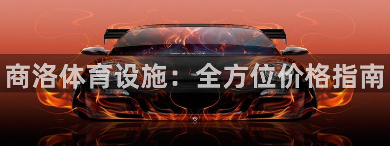 意昂体育3招商：商洛体育设施：全方位价格指南