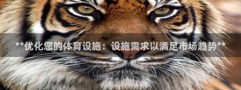 意昂体育3娱乐：**优化您的体育设施：设施需求以满足