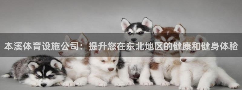 意昂体育3招商电话号码是多少：本溪体育设施公司：提升