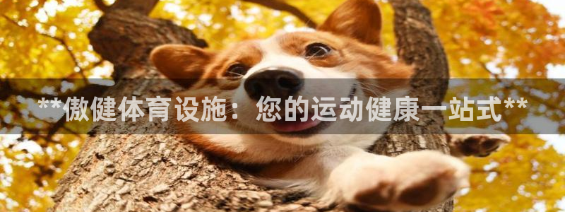 意昂3集团logo：**傲健体育设施：您的运动健康一