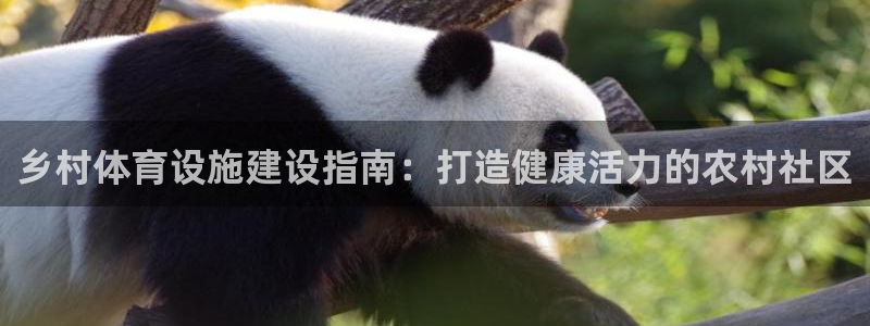 意昂体育3招商电话号码：乡村体育设施建设指南：打造健