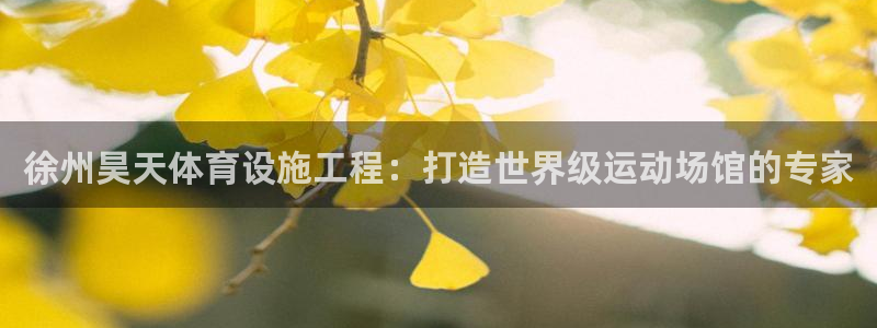 意昂体育3是干嘛的公司：徐州昊天体育设施工程：打造世