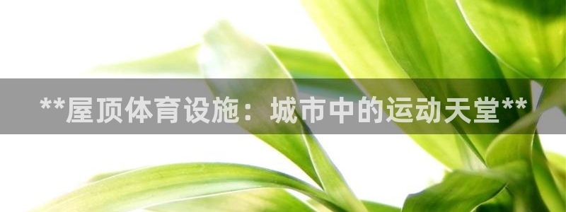 意昂3娱乐：**屋顶体育设施：城市中的运动天堂**