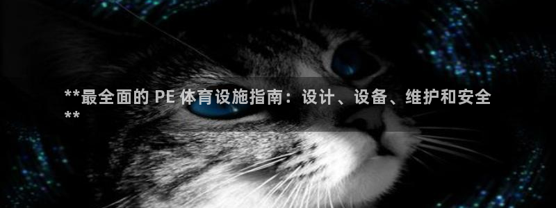 海南意昂体育3发展怎么样：**最全面的 PE 体育设