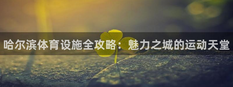 意昂3集团：哈尔滨体育设施全攻略：魅力之城的运动天堂