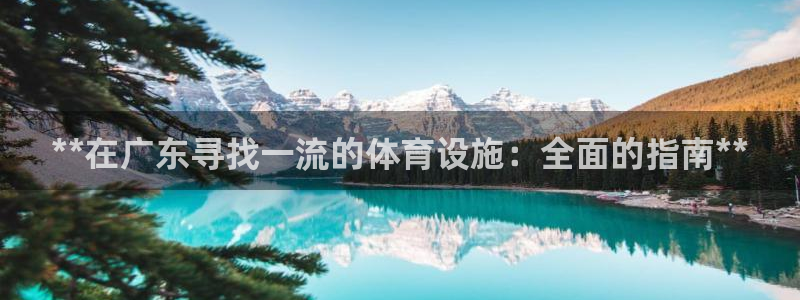 意昂3娱乐代理怎么样：**在广东寻找一流的体育设施：