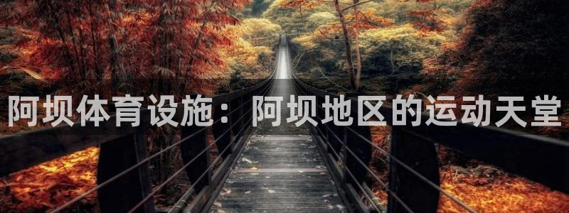 意昂3娱乐是那个系列的台子：阿坝体育设施：阿坝地区的