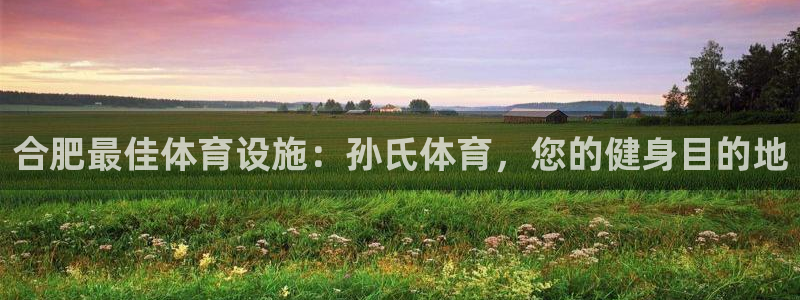 意昂体育3招商电话是多少号码：合肥最佳体育设施：孙氏