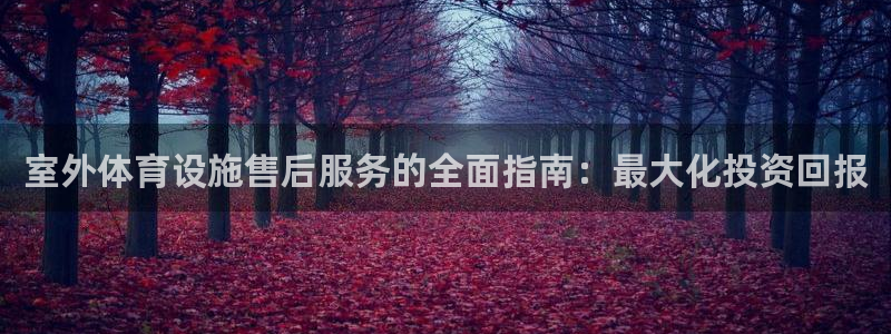 意昂3开户：室外体育设施售后服务的全面指南：最大化投