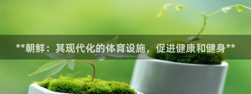 意昂3娱乐平台：**朝鲜：其现代化的体育设施，促进健