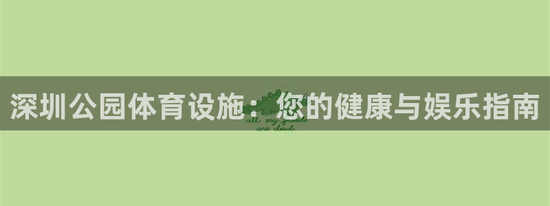 意昂体育3娱乐：深圳公园体育设施：您的健康与娱乐指南