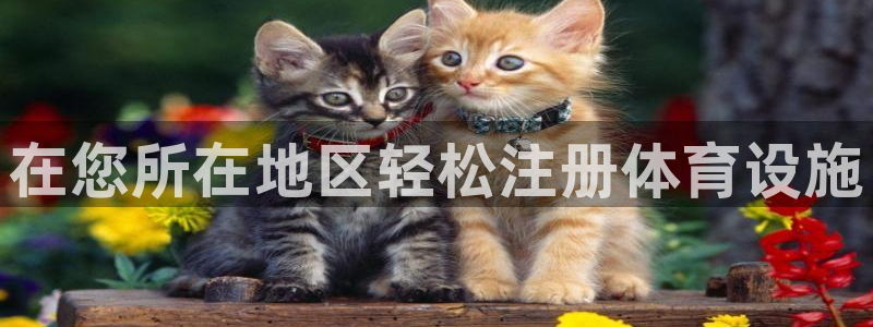 意昂体育3娱乐：在您所在地区轻松注册体育设施
