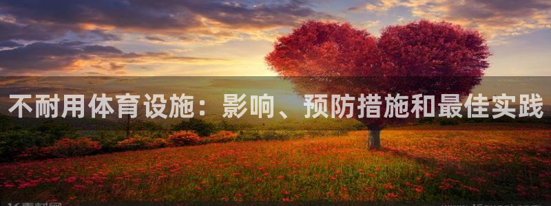 意昂3娱乐下载：不耐用体育设施：影响、预防措施和最佳