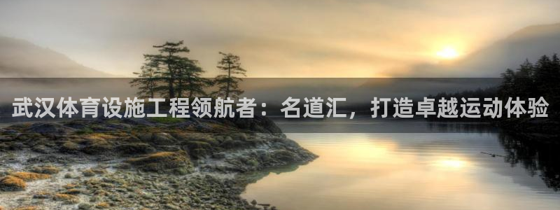 意昂3娱乐：武汉体育设施工程领航者：名道汇，打造卓越