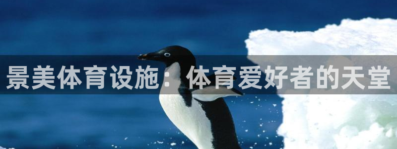 意昂3娱乐：景美体育设施：体育爱好者的天堂