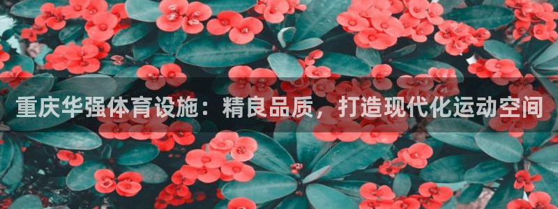 意昂体育3招商电话号码是多少啊：重庆华强体育设施：精