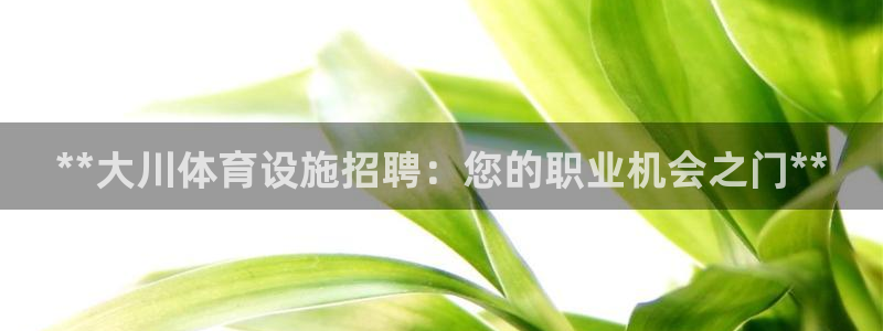 意昂3娱乐40996：**大川体育设施招聘：您的职业