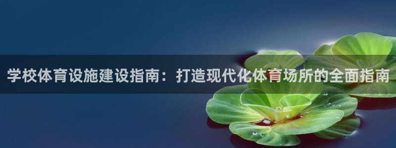 意昂体育3招商电话是多少号码：学校体育设施建设指南：
