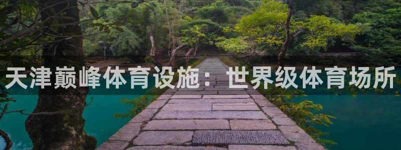 意昂体育3是干嘛的公司：天津巅峰体育设施：世界级体育