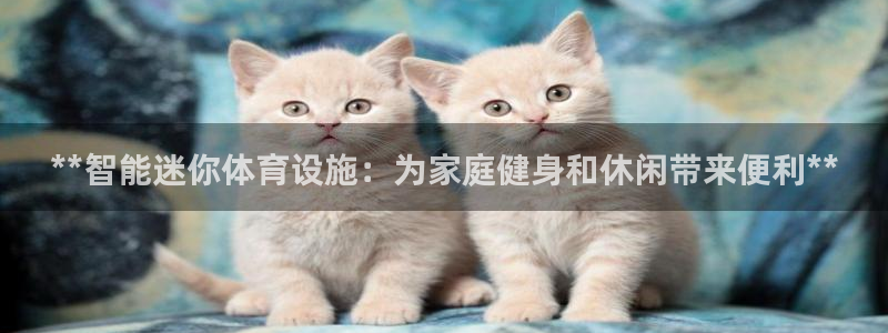 意昂体育3招商电话地址是多少：**智能迷你体育设施：