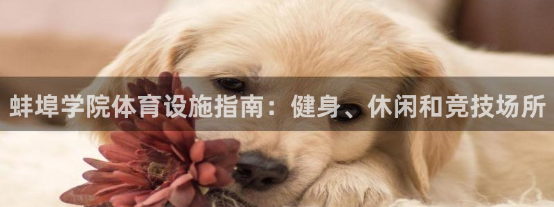 意昂3集团官网首页：蚌埠学院体育设施指南：健身、休闲